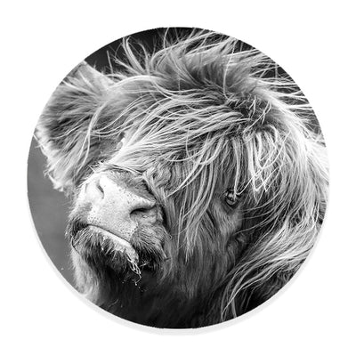 Ronde Schilderijen Schotse Hooglanders