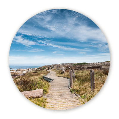 Muurcirkels Duinen