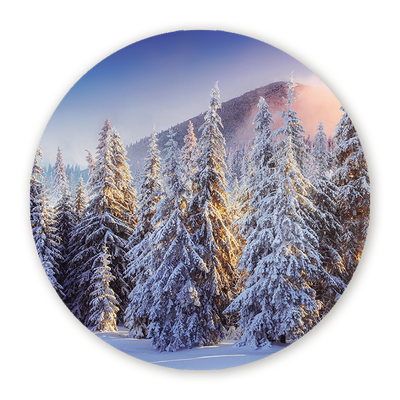 Muurcirkels Bossen & Wouden