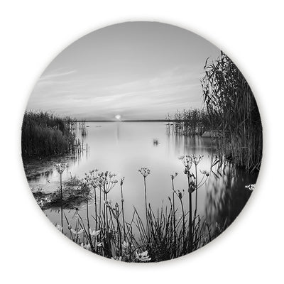 Muurcirkels Zwart Wit