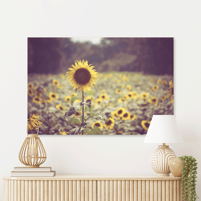 Schilderijen Bloemen & Planten